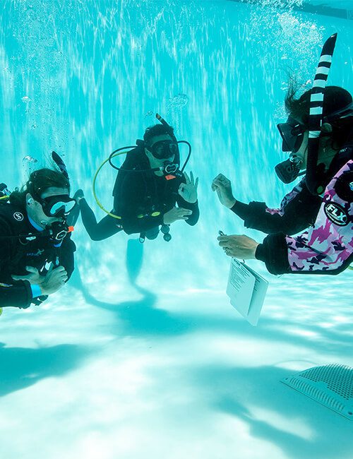 PADI Open Water Dive Training Courses