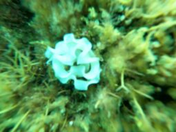 DCIM100GOPROGOPR0083.JPG