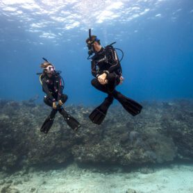 Peak Performance Buoyancy 2